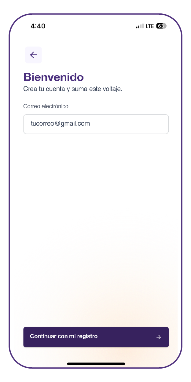 Instructivo ingreso correo app enerBit